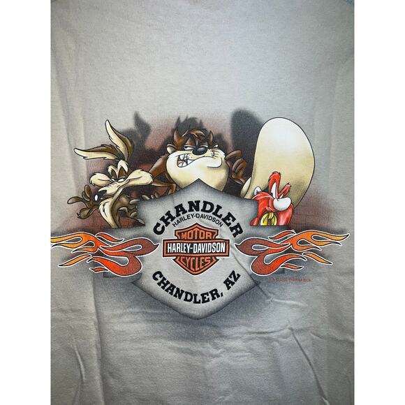 Vintage Harley Davidson Taz Looney Tunes Shirt Chandler Arizona Brown Tee Medium - Picture 9 of 12